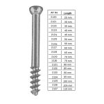 Cancellous Screw