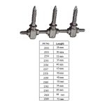 Pedicel Screw