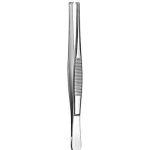 Dissecting Forceps