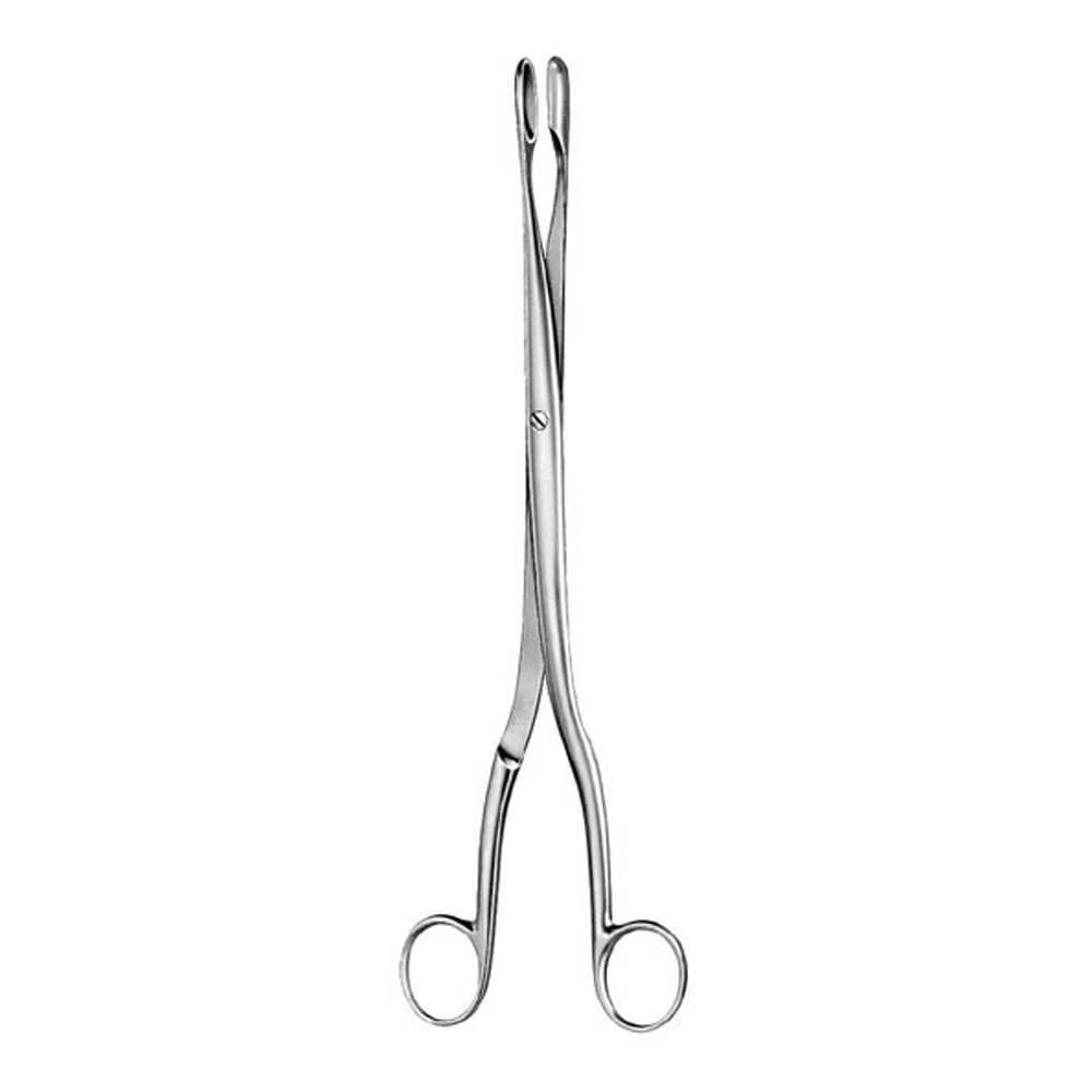 Art-ES-S-2808.png Placenta and Ovum Forceps - Image 1