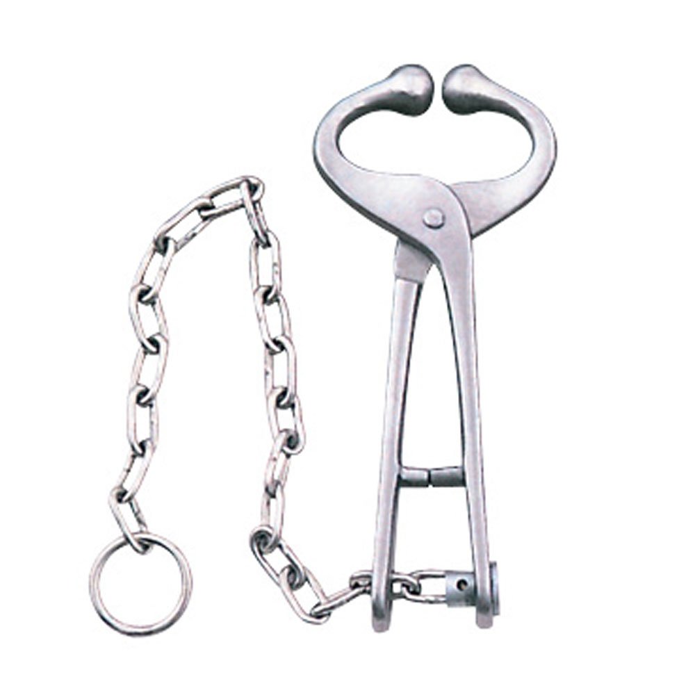 Art-ES-V-1054.jpg Bull Lead - Image 1